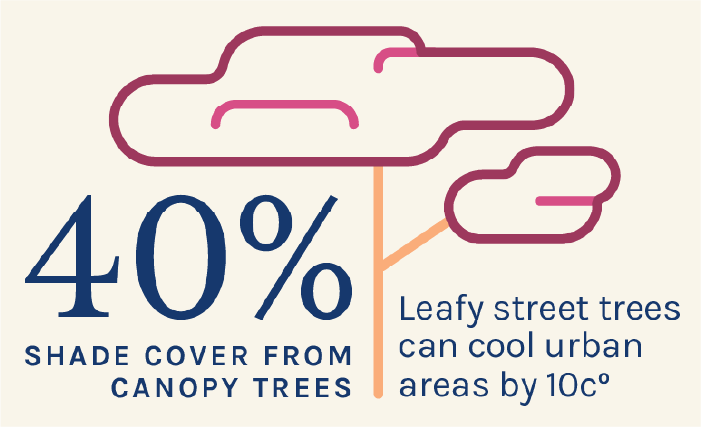 treecanopy@2x